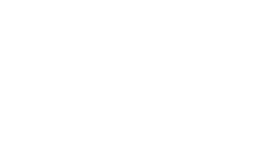 Vintage Vans